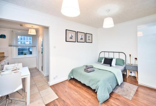 Hackney Road, London E2 - Studio Apartment for 3, Londýn