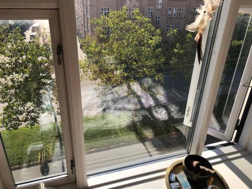 Soulful 3 Room apartment in Østerbro near nature Soulful 3 Room apartment in Østerbro near nature