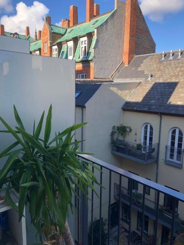 Soulful 3 Room apartment in Østerbro near nature Soulful 3 Room apartment in Østerbro near nature