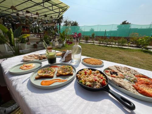 Jardín, TLO - The Life Outdoor, Bir in Palampur