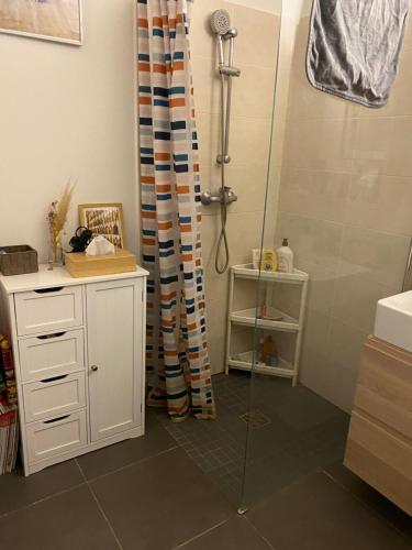 Душ, Superbe 3 pièce jardin (Superbe 3 piece jardin) in Les Lilas