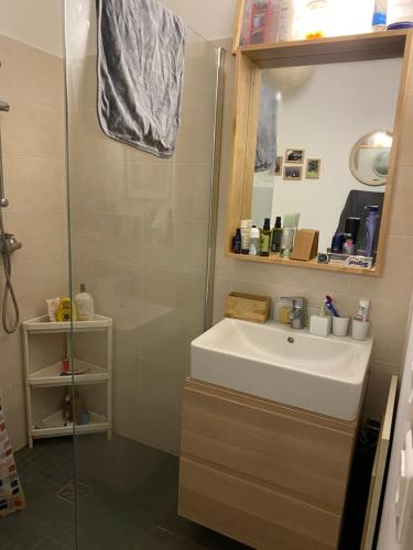 Баня, Superbe 3 pièce jardin (Superbe 3 piece jardin) in Les Lilas