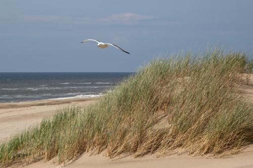 Golden Tulip Noordwijk Beach - image 6