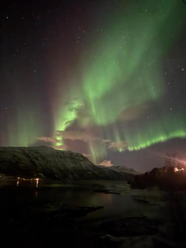 . Arctic Sealodge Malangen cabin 4 Sæterbergan