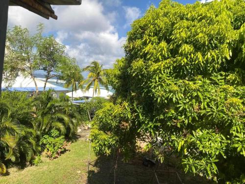 Appartement avec vue sur la mer au Moule - 60 m² - image 2
