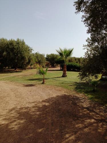 John's Place John's Place