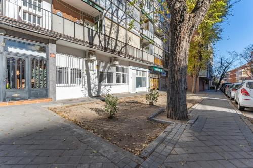 Casa Bandi, Madrid (photo 9)