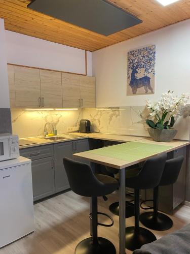 Cosy Apartment - Bad Mitterndorf