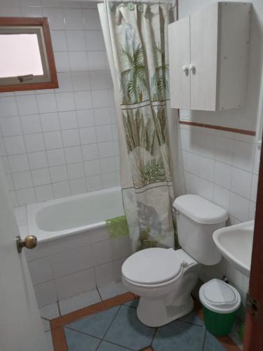 Cabaña en Villarrica (Cabana en Villarrica) in 比利亚里卡