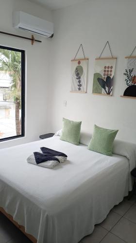 Tauch Cancún Centro, Cancún