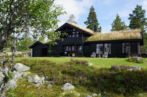 . Moderne hytte plass for 10