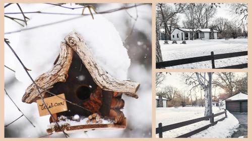 Love Lake Hacienda! in Brainerd, USA