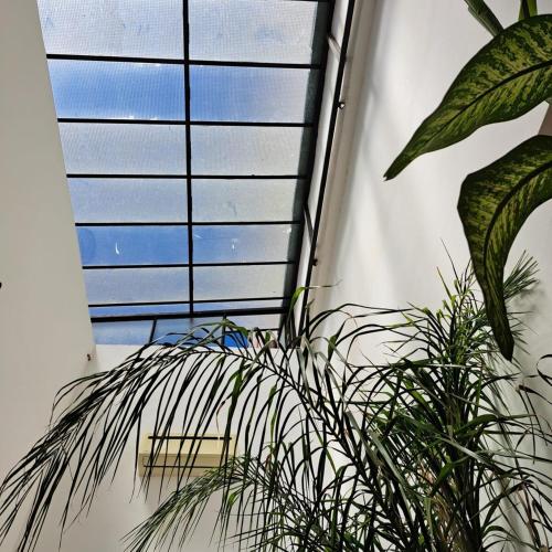 Accommodation in Buenos Aires