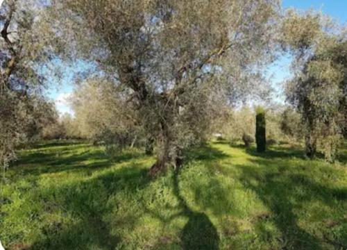 Namaste, mare, lago e terme di Vulci