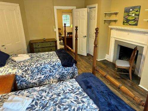 New! Ground-level 2b2b In Bryn Mawr W Parking!! New! Ground-level 2b2b In Bryn Mawr W Parking!!