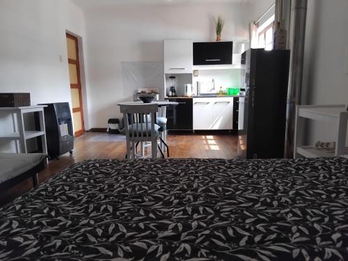 Studio in historic center Cusco - image 4