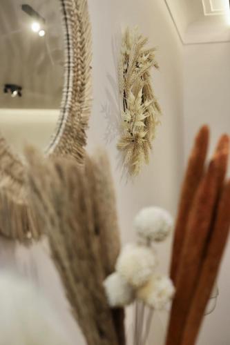 Appartement cosy et lumineux