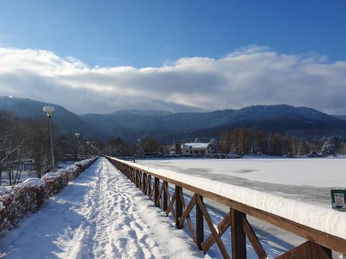 Domki z Widokiem Domki z Widokiem