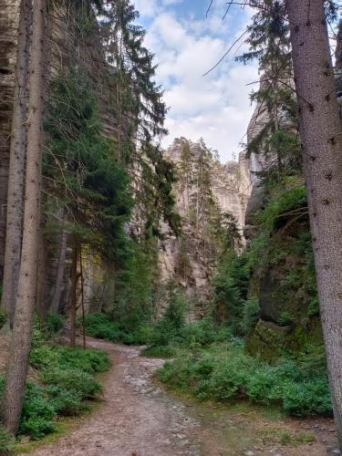 Domki z Widokiem Domki z Widokiem