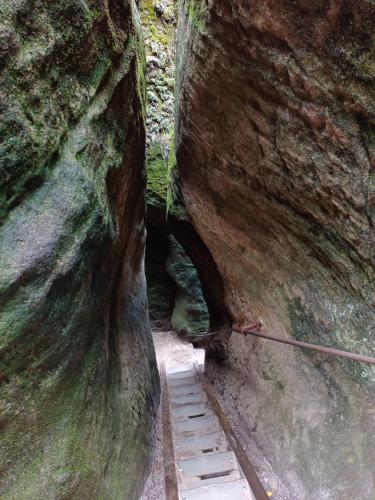 Domki z Widokiem Domki z Widokiem