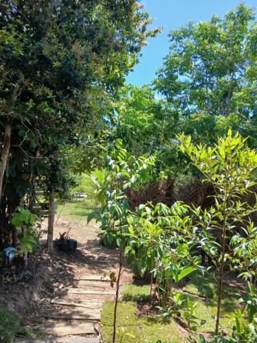 Studio Contêiner Ipês Amarelos - Reserva Sapiranga Studio Contêiner Ipês Amarelos - Reserva Sapiranga