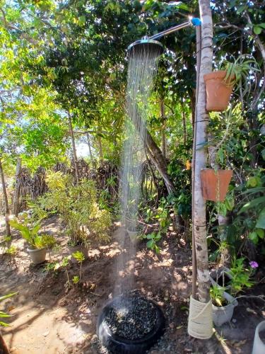 Studio Contêiner Ipês Amarelos - Reserva Sapiranga Studio Contêiner Ipês Amarelos - Reserva Sapiranga