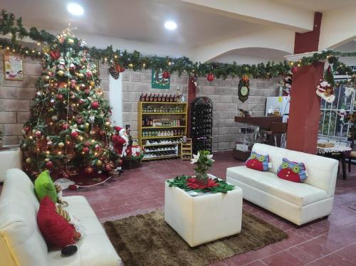 Hotel Boutique Casona Mashei in Banus Pachuca