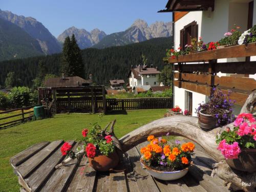  Appartamento Piller Roner Paola, Pension in Sappada bei San Pietro di Cadore