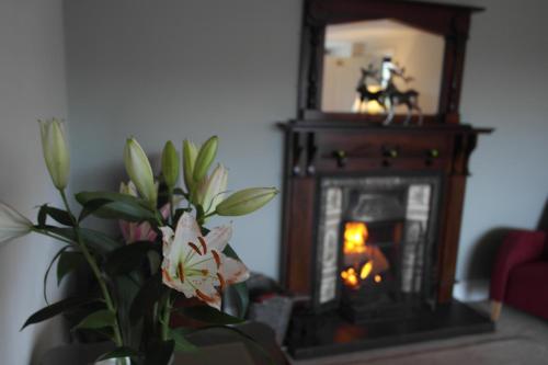 Hazelwood Lodge - image 13
