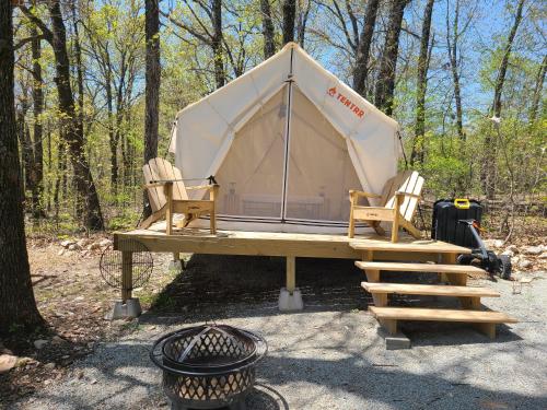 Leaning Tree Woods Leaning Tree Woods