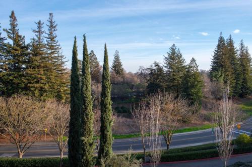 628931868 The Westin Sacramento Riverfront Hotel & Spa