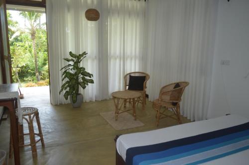 Coconut Grove - Midigama Coconut Grove - Midigama