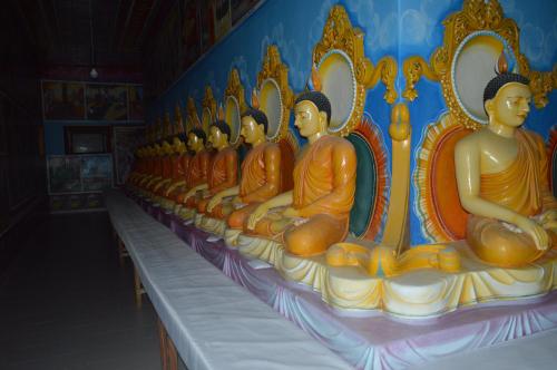 Coconut Grove - Midigama Coconut Grove - Midigama