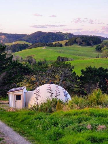 Waipū Thunder Domes no.2 luxury eco glamping dome (Waipu Thunder Domes no.2 luxury eco glamping dome) in Waipu