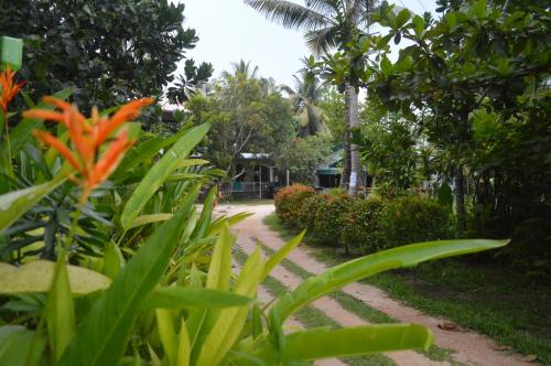 Coconut Grove - Midigama Coconut Grove - Midigama