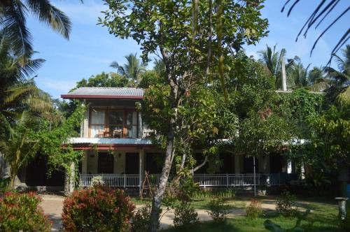 Coconut Grove - Midigama Coconut Grove - Midigama