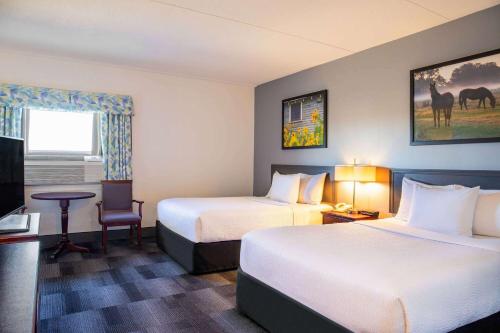 2 queen beds, 1 twin bed