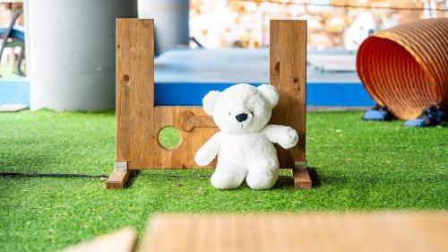 Gapyeong Bandivillage Gapyeong Bandivillage