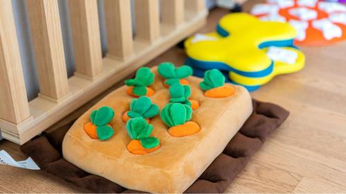 Gapyeong Ddobagi Pet & Spa Glamping