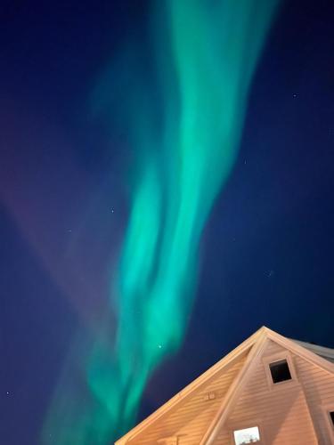 YOUR Arctic Home 1