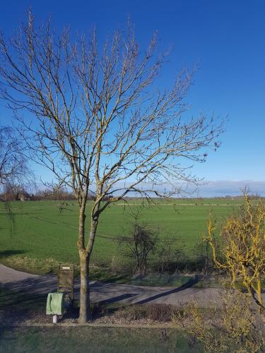 Haus im Felde, Fehmarn (Foto 9)