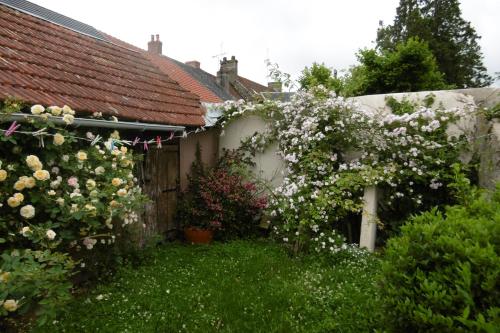 สวน, Sylvia's house - ground floor flat in ฌาร์นัก