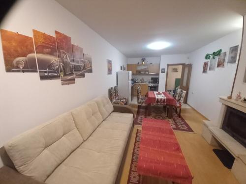 Апартамент 9, Pamporovo (fotografie 6)