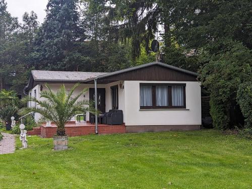 外部景觀, idyllische Lage direkt am See in 科尼希 武斯特豪森