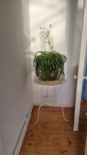 Studio- Kokon- Souterrain Studio- Kokon- Souterrain