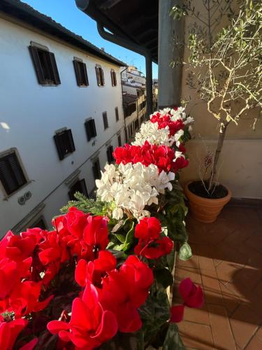 Hotel Botticelli - image 5
