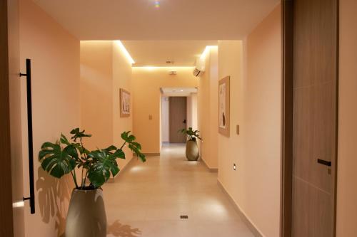 Dunia Suite