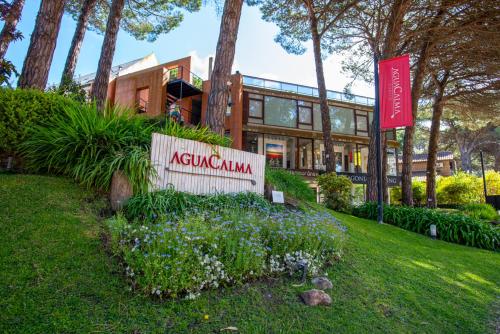 Aguacalma by CELTIS