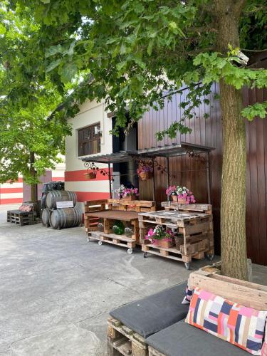 AGRITURISMO BOSCO LONGHINO in Santa Maria della Versa