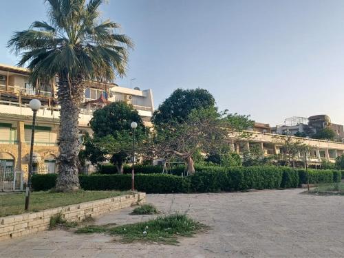 قرية الجندول بالاسماعلية طريقة البلاجات in Ismailia